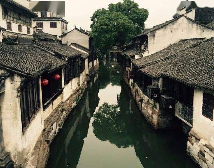 熊出没百层大冒险